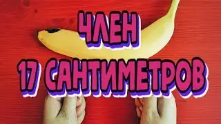 Член 17 сантиметров - это нормально или мало?