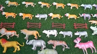 Animals toy set unboxing-Zoo animals-Find Cow  cat horse lion tiger camel sheep elephant Giraffe.19