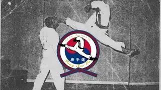 5.5 years of PCSBD Tang Soo Do