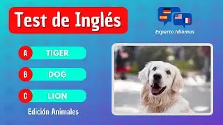 ¿CUÁNTO SABES de INGLÉS? TRIVIA Nivel FÁCIL 👀🇺🇸  | Edición Animales 🐶😺 | APRENDE INGLÉS BÁSICO 😎