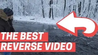 Best Reverse Video On The Winter River In The Forest