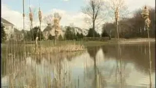 StormwaterPA: Wet Pond