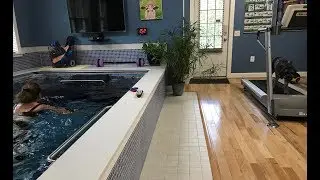 Humans and Pets exercising - Kat in an Endless™ Pool and her Dog on a treadmill