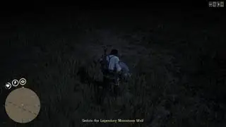 I didn't mean to kill the thing