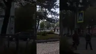 8 мая 2024 г.