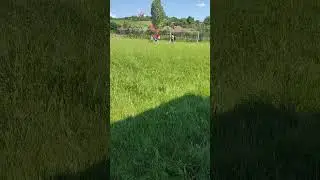 din vara la FCSB