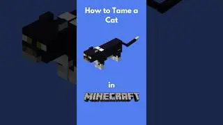 How to tame a cat in Minecraft #gaming #minecraft #gamingtips