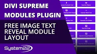 Divi Supreme Modules Free Image Text Reveal Module Layout 👈