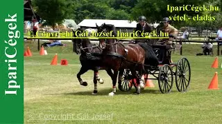 Fogathajtás, HORSE PAIR 3*, Vecsés, 2022., Akadályhajtás, 4K, sv4K220605-C15-4167-230914
