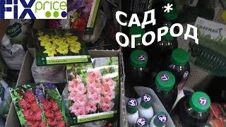 #VLOG #FixPrice Все для сада в Фикс Прайс * Семена, удобрения, цветы!
