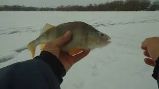 Рыбалка на новом пруду на безмотылку