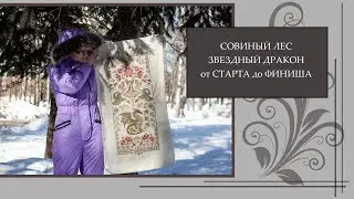 100 Совиный лес. Звездный дракон. От Старта до Финиша