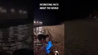 Intresting Facts About The World! #2 🌎 #shorts