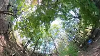GoPro Max試し撮り