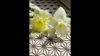 Нарцисс из фоамирана