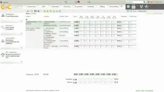 ConsultingControl - Timesheet module introduction
