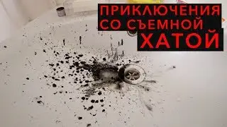 [18+] Приключения со съемной хатой в Питере (рум тур)