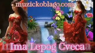 Vjeko - Ima Lepog Cveca (Raspevana Ruza)