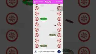 Dunk Shot Bounce Challenge 23