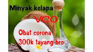 Cara bikin minyak kelapa tanpa kompor tanpa listrik tanpa pemanas