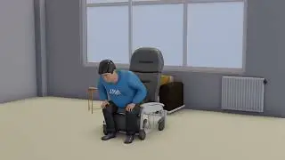 13 Sit to Stand Pear mp4