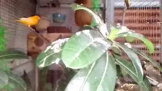 KONDISI Terkini Diaviary Mini sederhana kita
