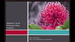 Professional Online Presenting Tip1