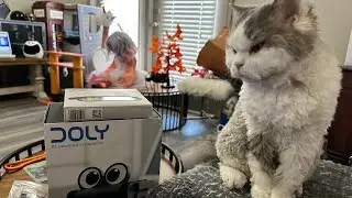 Robot Party - Doly Unboxing