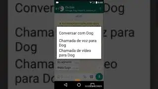 Grupo no Whats