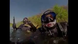 Пеленгас Эко и карп!