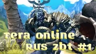 Tera Online Барака Рыцарь (Rus ЗБТ)