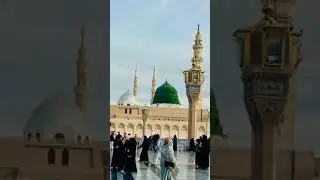 MADINAY Mein Kabhi Zalzala Nahi Aya #trendingvideos #shortvideo