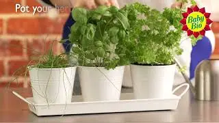 Baby Bio - Growing Your Own Herbs At Home