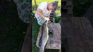 Ловля щуки в майскую жару