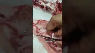 槽头肉淋巴去干净，看着就美味