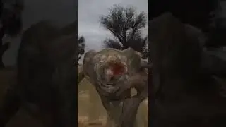 когда переиграл в скайрим и зашол в сталкер 