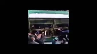 Мухаммад Содик Шайх жанозаси 1-bolim