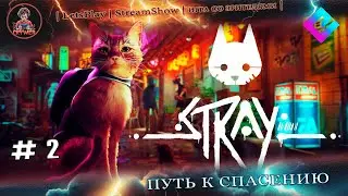 ► Stray ◄|► #2 Путь к спасению ◄