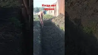 когда нет червей для рыбалки