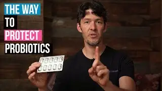 Probiotics for Gut Health, Blister Packs & Expiration Dates