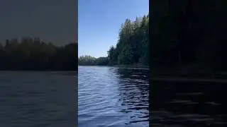 Река Оредеж. Плывем на лодке. 😌