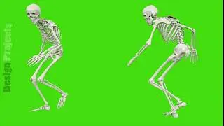 Skeleton walk. Seamless loop animation on green screen.