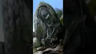 The Chameleon Dragon