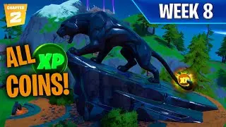 ALL *Week 8* XP COIN LOCATIONS! (LEAKED) Locations! | Detailed Coin Route & EASY COLLECTION!