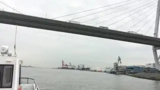 My captain line cruise