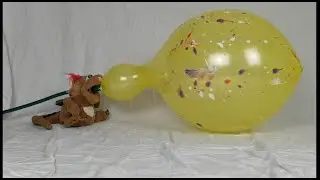 007 - blow to pop yellow punch balloon from asia