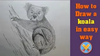 how to draw a koala
