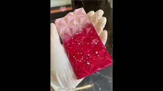 Шоколадка своими руками #strawberry #chocolate #еда #smallbusiness