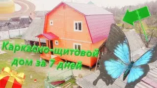 Каркасно-щитовой дом за 7 дней