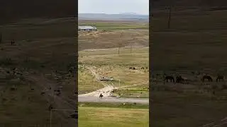 Кастек (каз. Қастек) — село в Жамбылском районе Алматинской области Казахстана. 